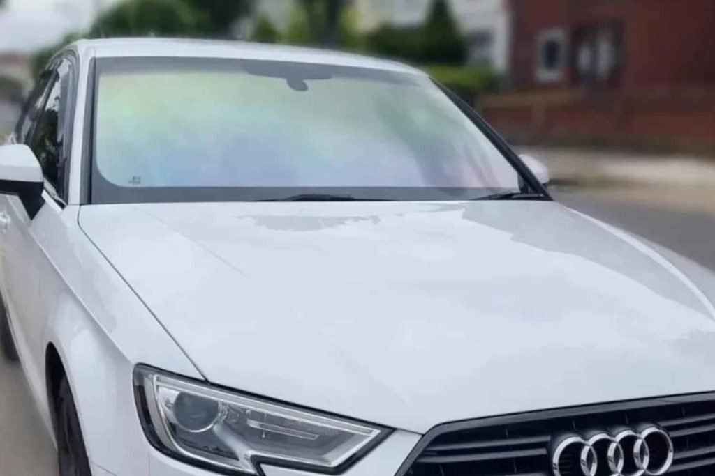 optimum green chameleon windscreen